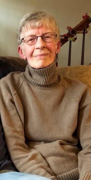 Diane A. Dulkie